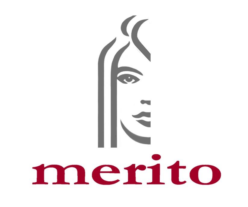 Logo merito